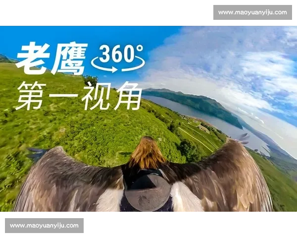 草原与天空的对决老鹰与狼谁才是真正王者生存智慧力量速度意志终极较量